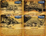 Animal Illustrations for Cambodian Brewery packaging and identity usage. Endangered species illustrated in pencil then digital shown as used on set of promotional coasters.